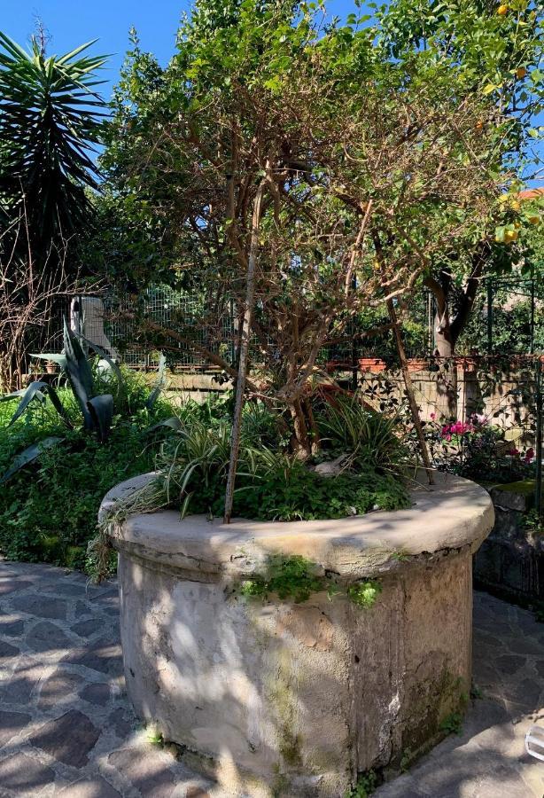 Itaca B&B Piano di Sorrento Exterior photo